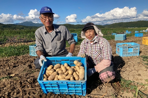 メークイン 厚沢部町産
